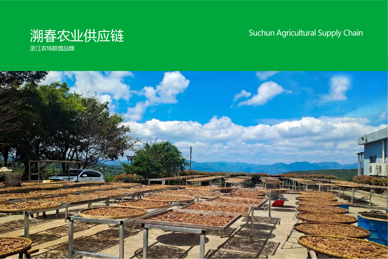 溯春案例-02.jpg